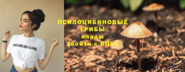 шишки Сафоново