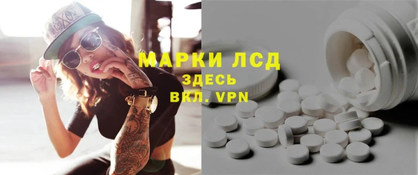 ECSTASY Алзамай