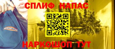 прущие грибы Рязань
