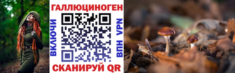 Галлюциногенные грибы GOLDEN TEACHER  хочу наркоту  Биробиджан 